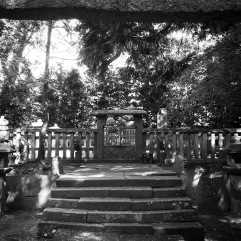 Under the torii gate