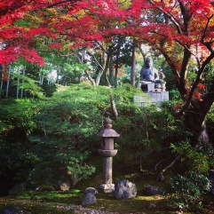 Another small garden, somewhere between Kurodani and Shinnyodo Temples