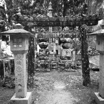 Stones on the torii gate